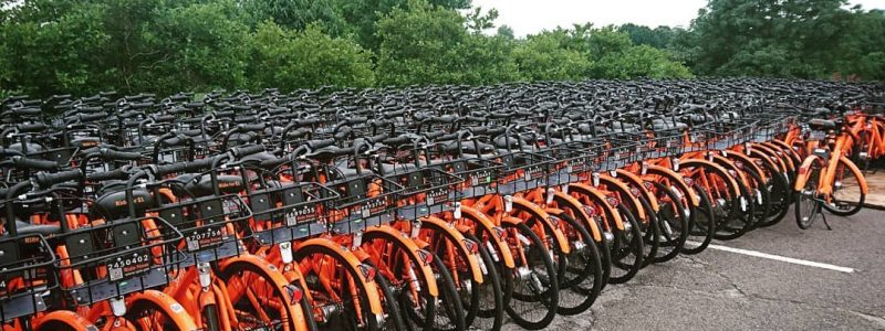 Lexington Explores Bike Share with Green Check Business