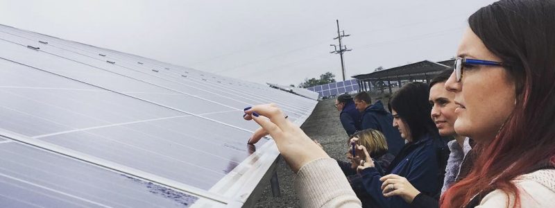 Green Check Businesses Tour Solar Farm
