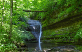 Floracliff Nature Sanctuary