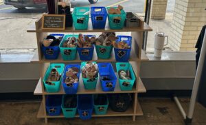 Bluegrass Youth Ballet shoe library